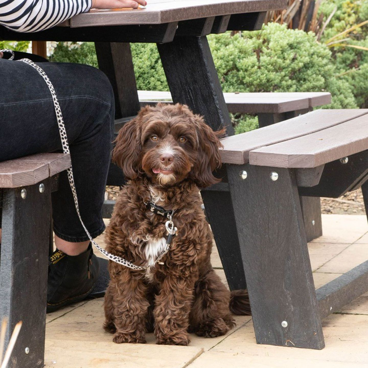 Your local dog friendly pub in Dagenham